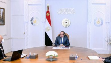 صورة الرئيس السيسي يتابع مع محافظ الوادي الجديد الموقف التنفيذي للمشروعات الاستراتيجية  بالمحافظة