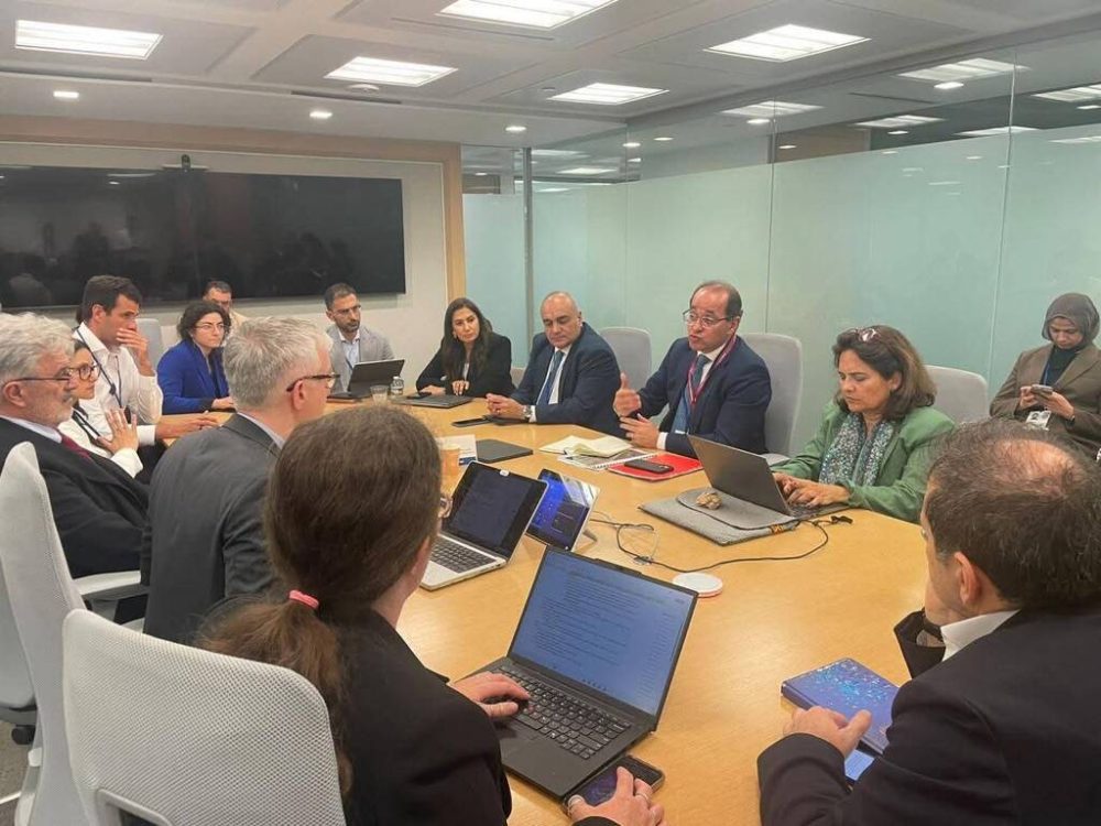 “المالية”: مصر تعاملت باحترافية مع الأزمة الراهنة بمنهجية سريعة واستباقية